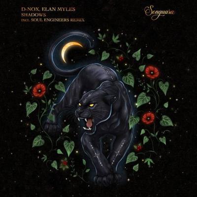 D-Nox, Elan Myles -  Shadows (Soul Engineers Extended Remix)