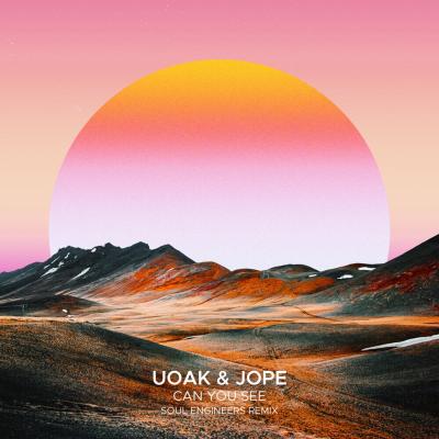 Jope, UOAK - Can You See (Soul Engineers remix)